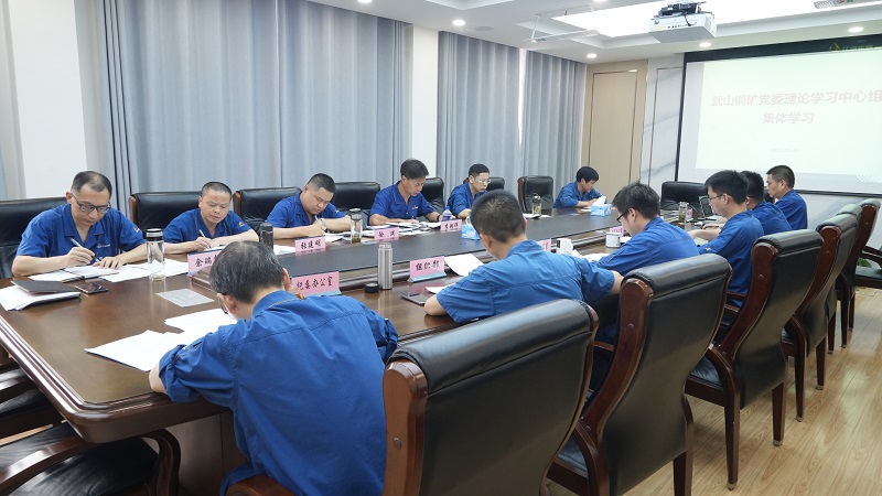 5月30日下午，，武山铜矿进行党委理论学习中心组专题学习会议（冯浩）.jpg